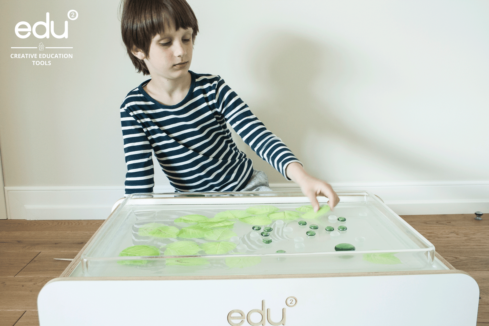 NaturalCompositionsLightTable