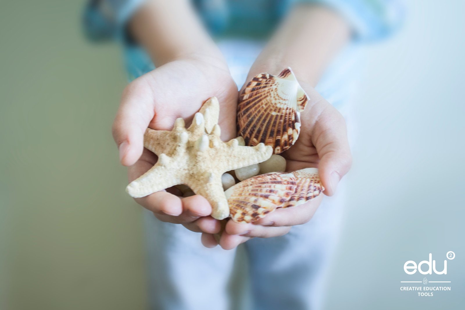 Loose parts Nature Loose parts Nature