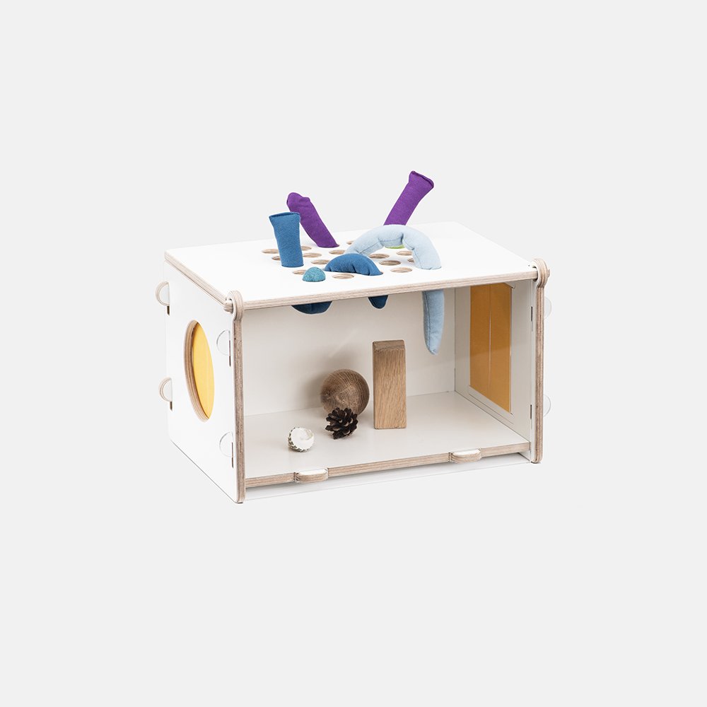 Sensorinė spėliojimo dėžutė